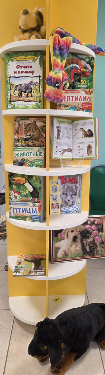 Тематическая книжная выставка